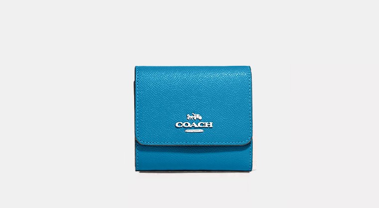 Coach