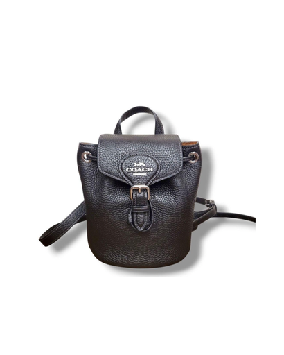 [COBBK00135] Coach